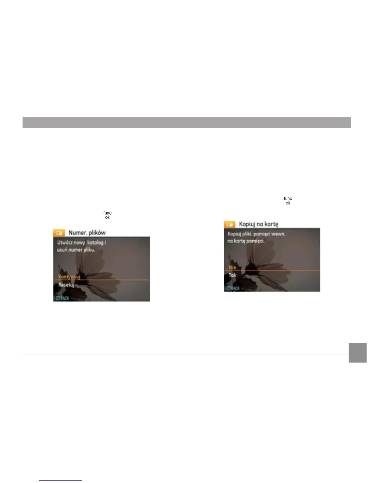 Page #66 background image