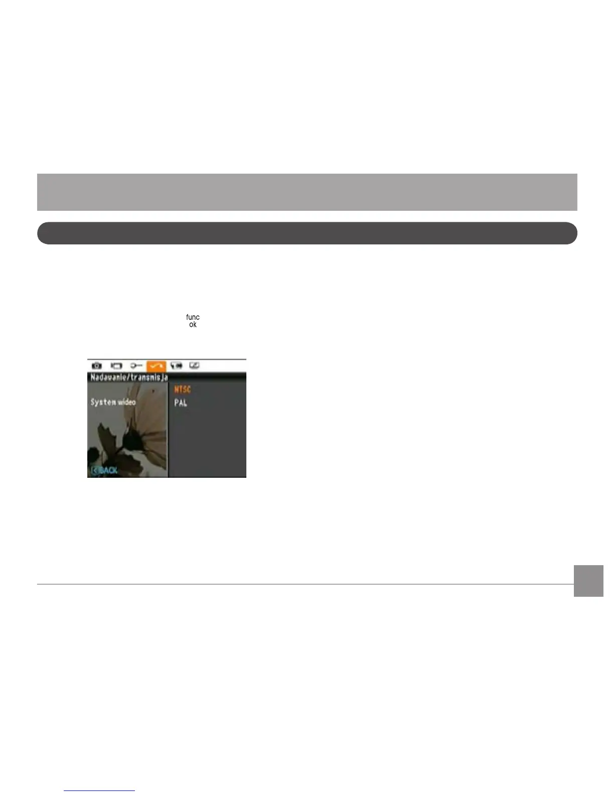 Page #68 background image