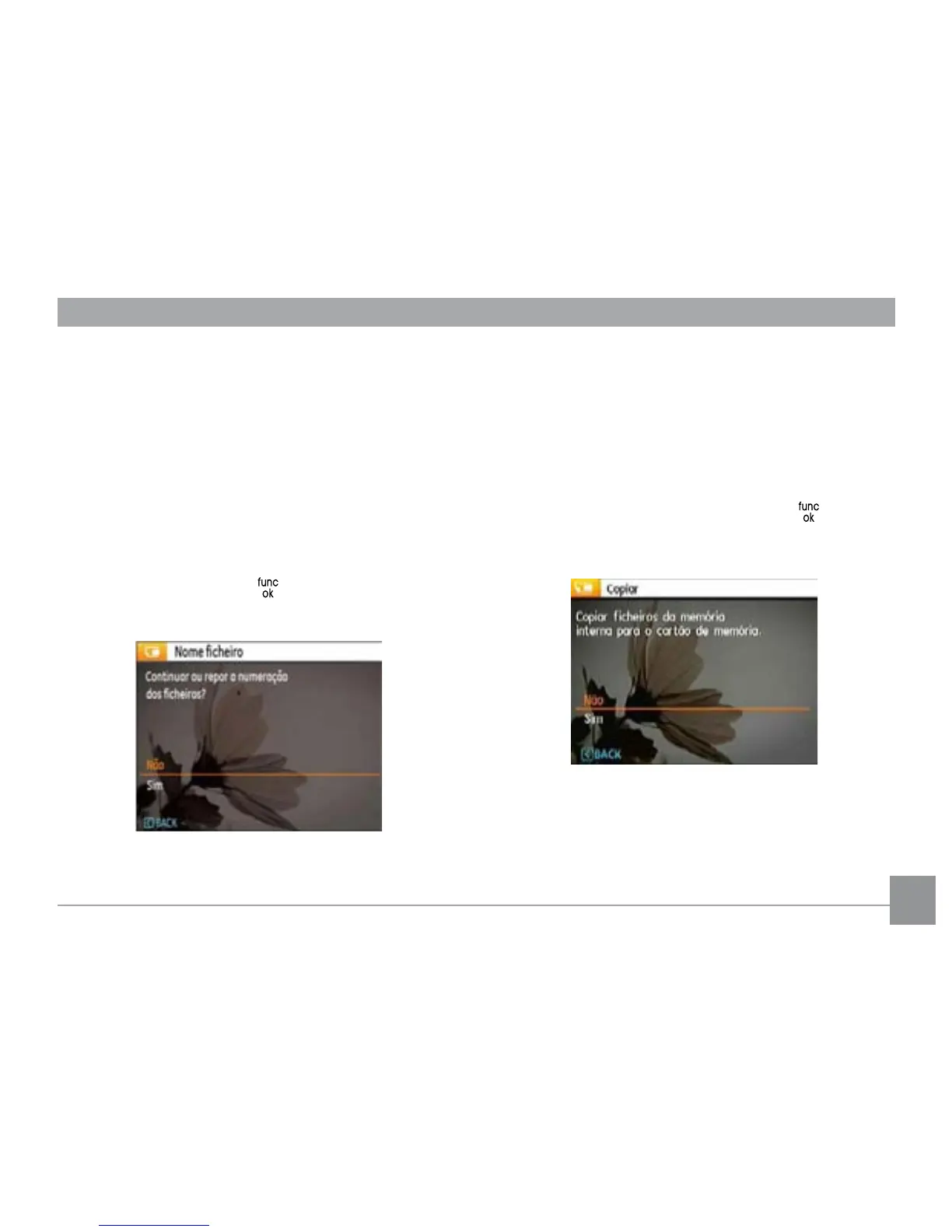 Page #66 background image