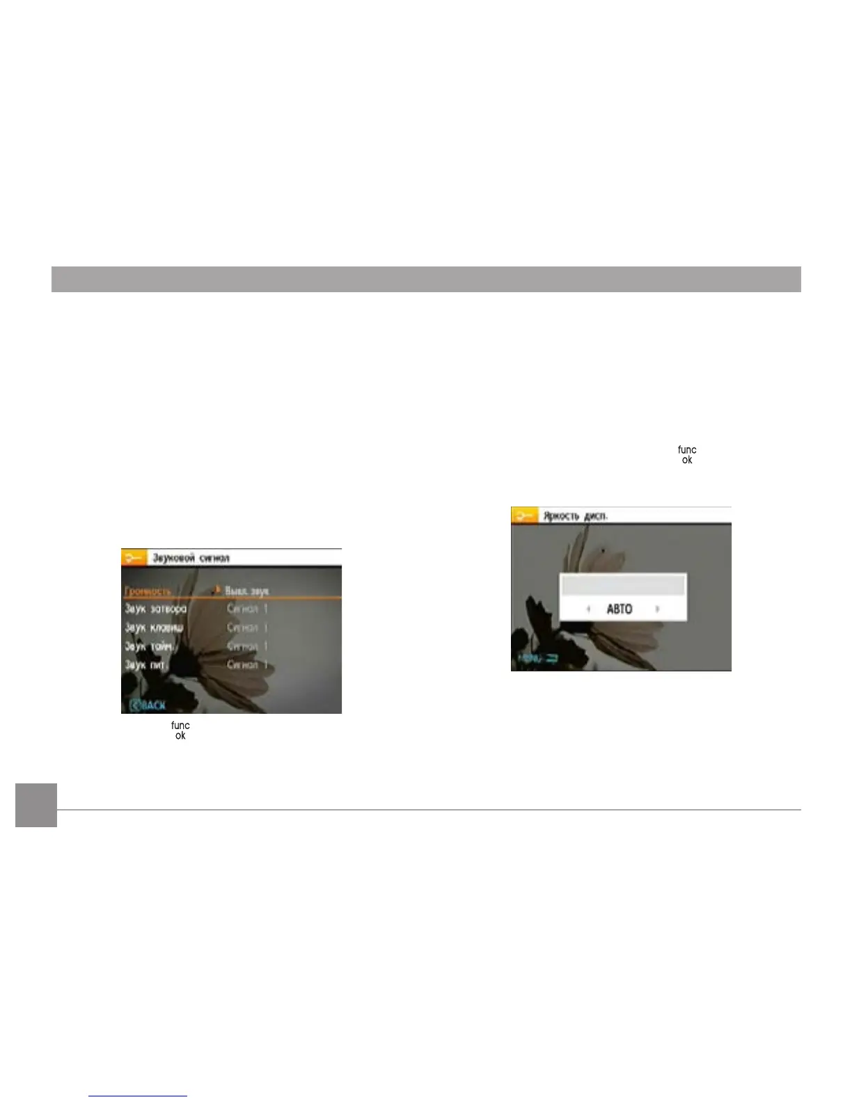 Page #63 background image