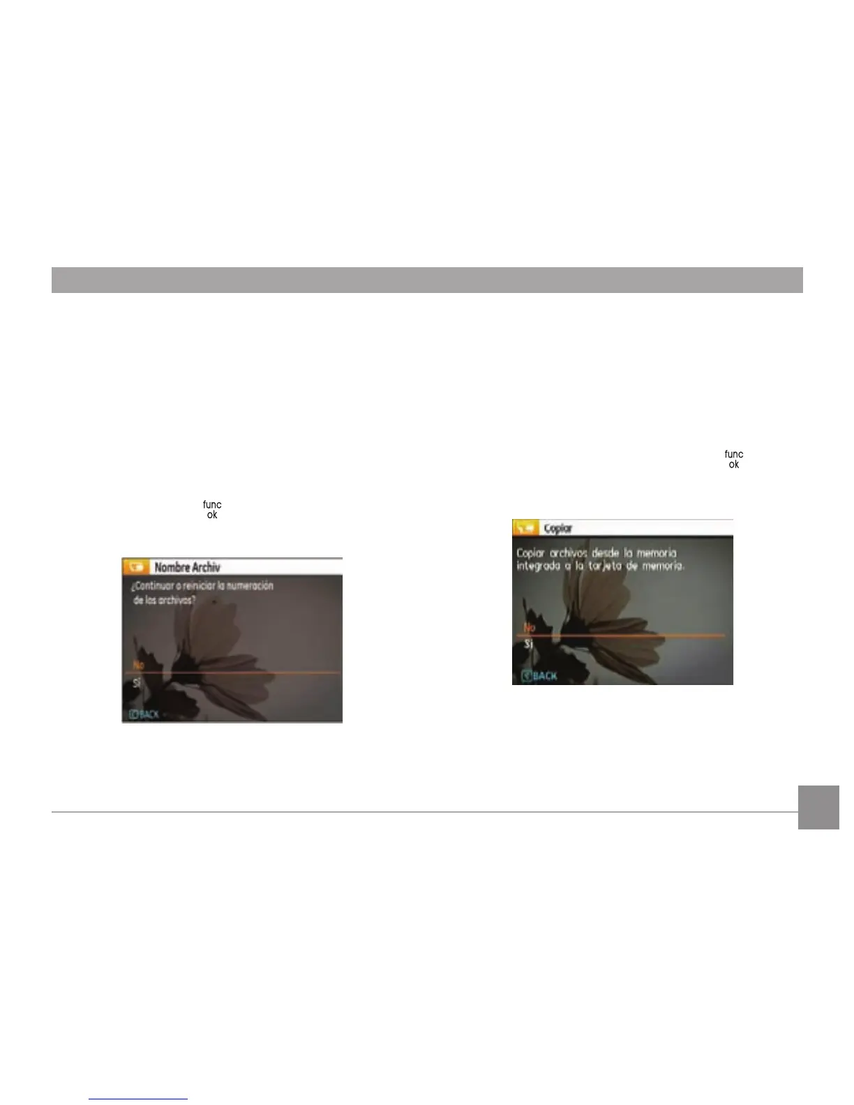 Page #66 background image