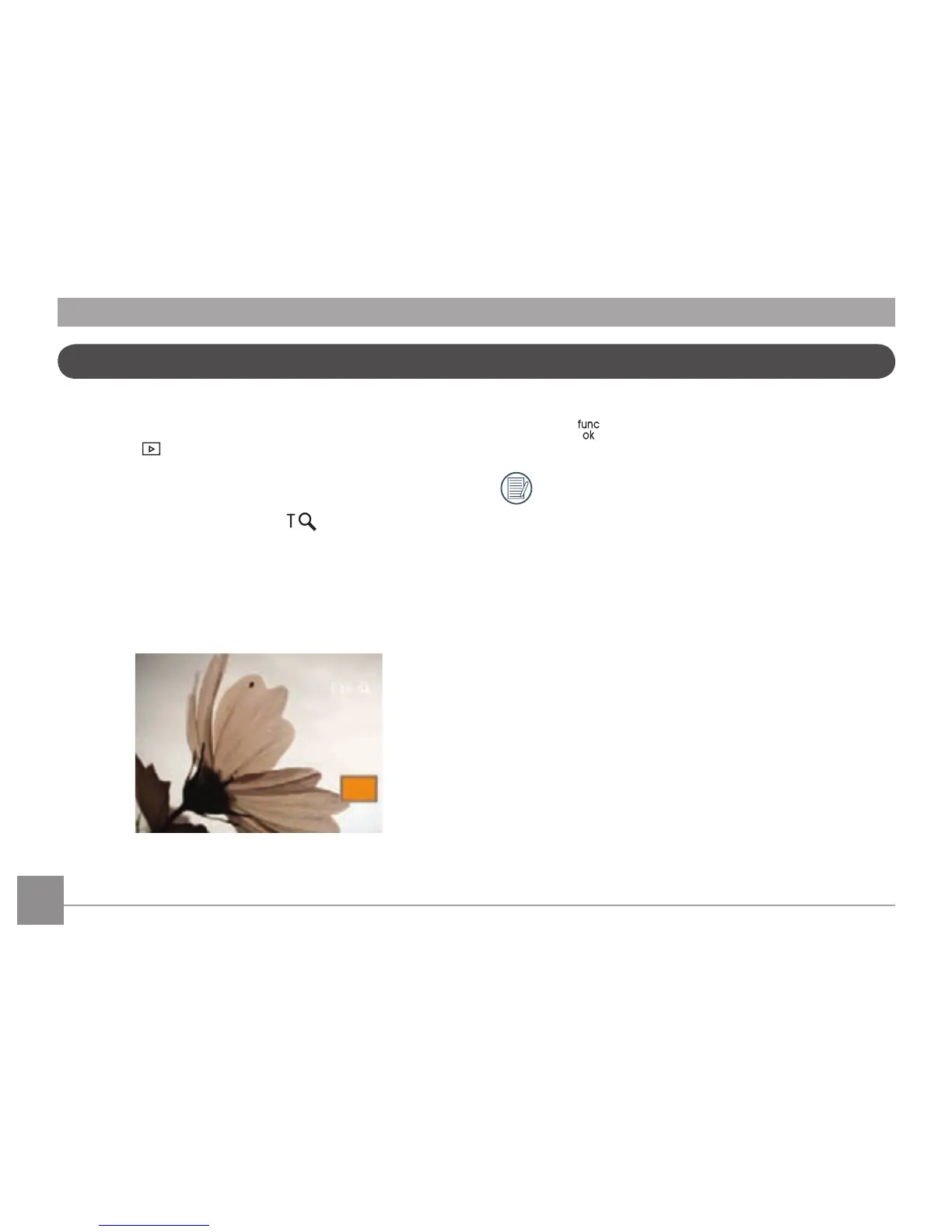 Page #43 background image