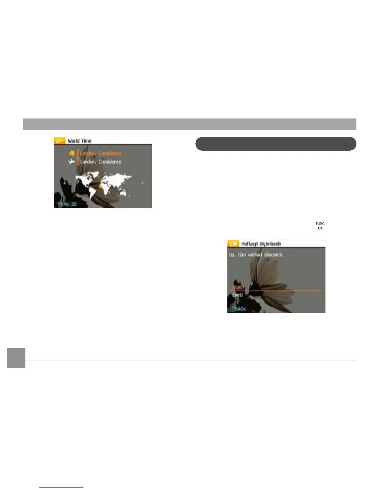 Page #65 background image