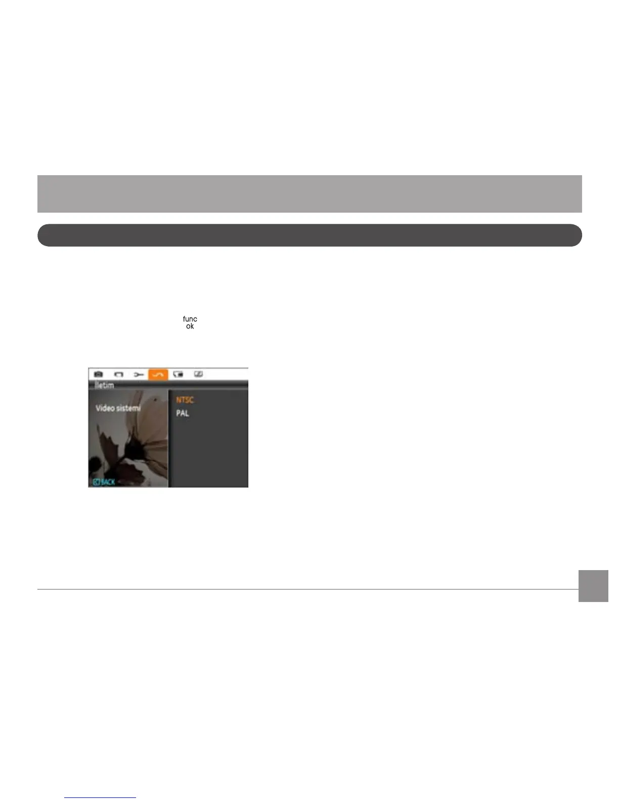 Page #68 background image