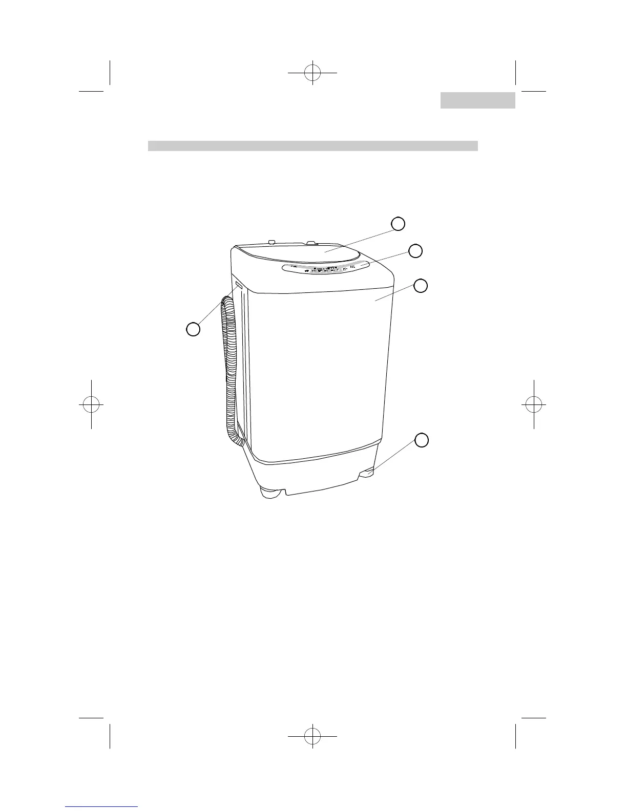 Page #5 background image