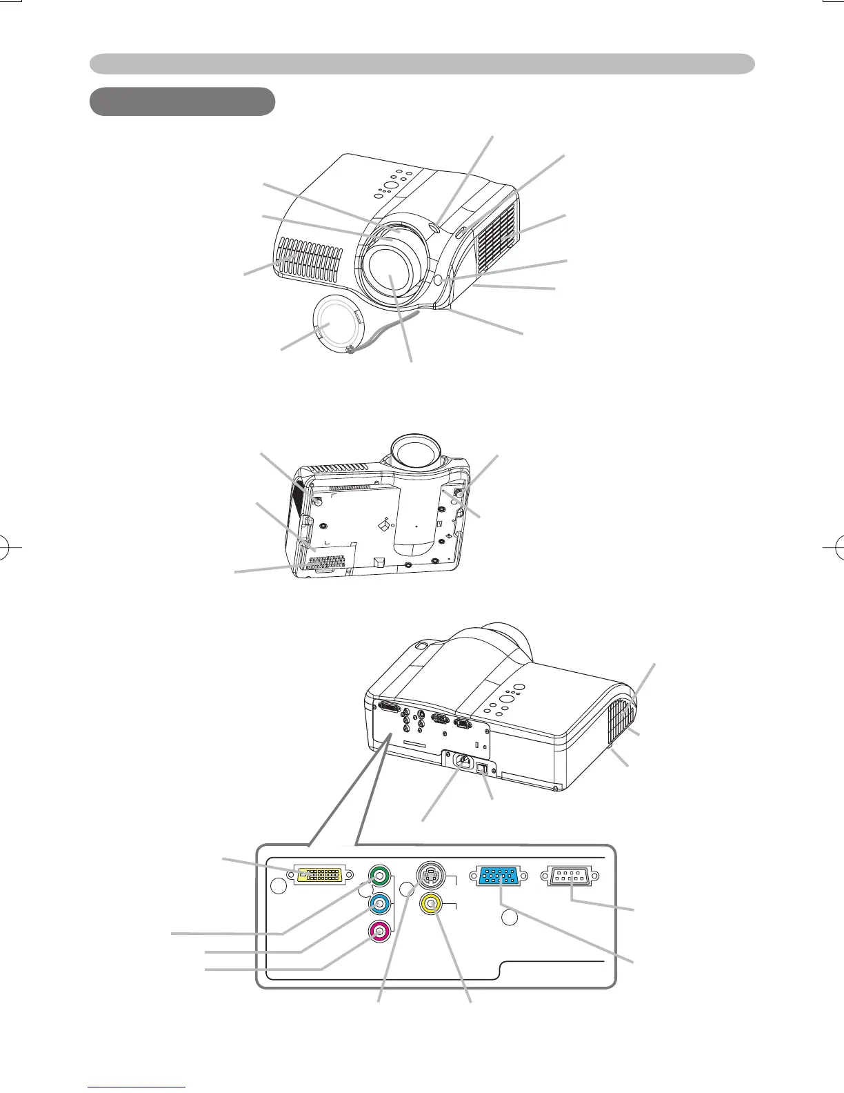 Page #4 background image