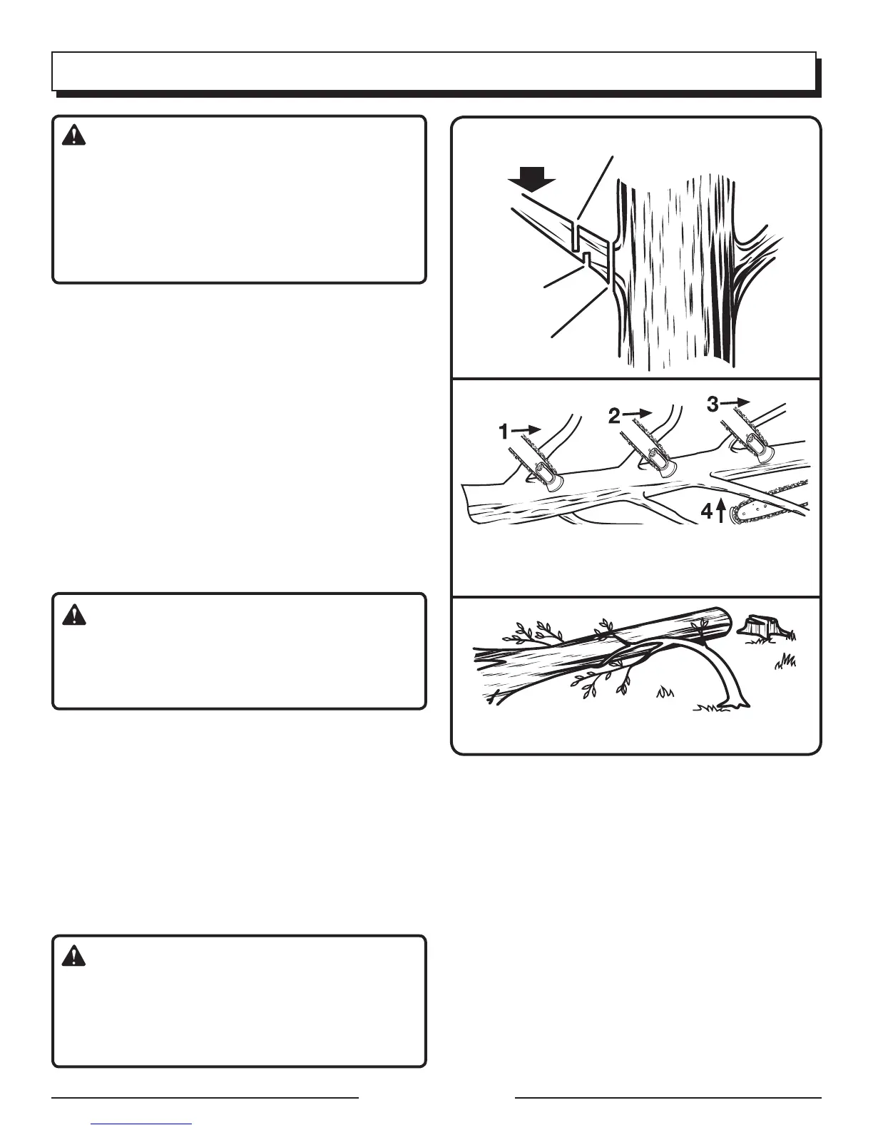 Page #63 background image
