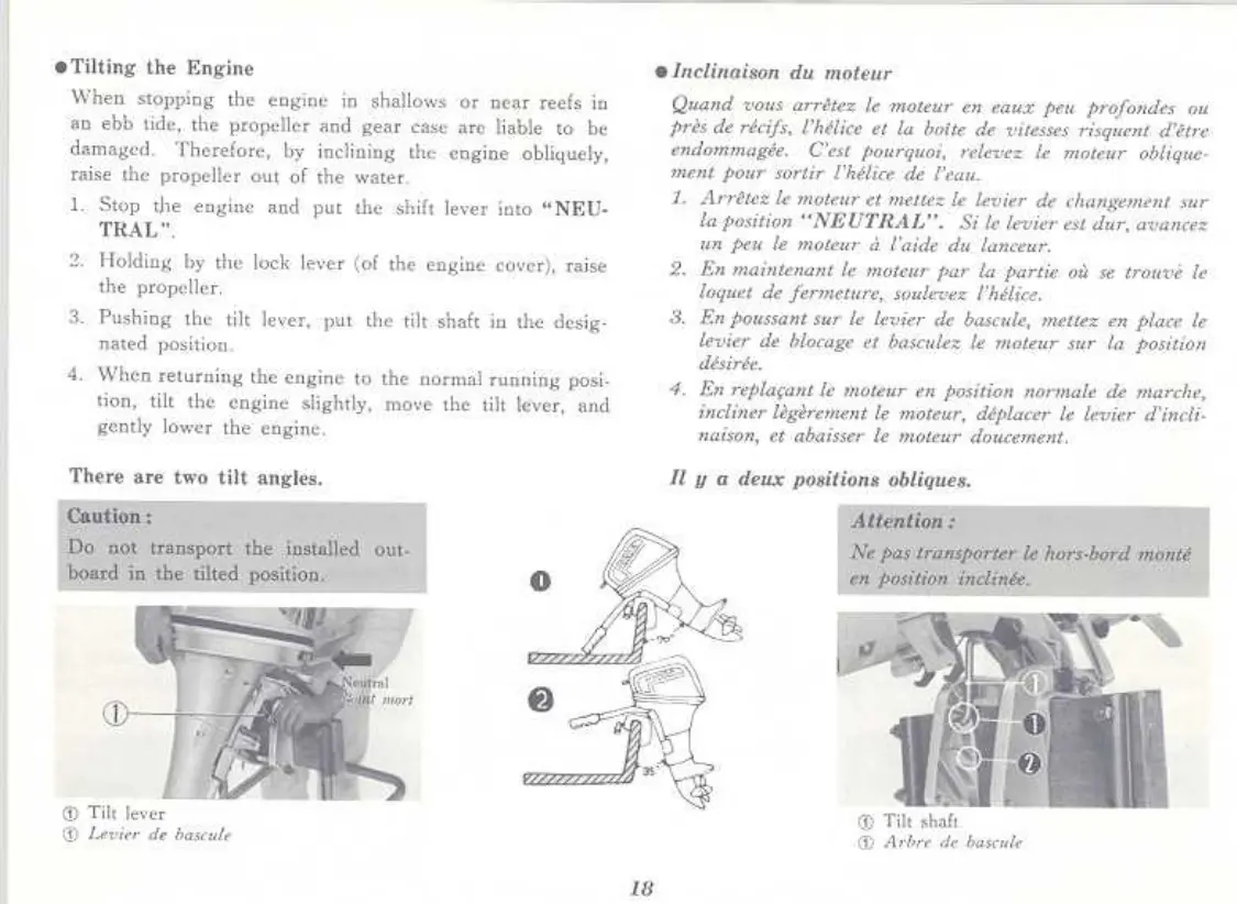 Page #19 background image