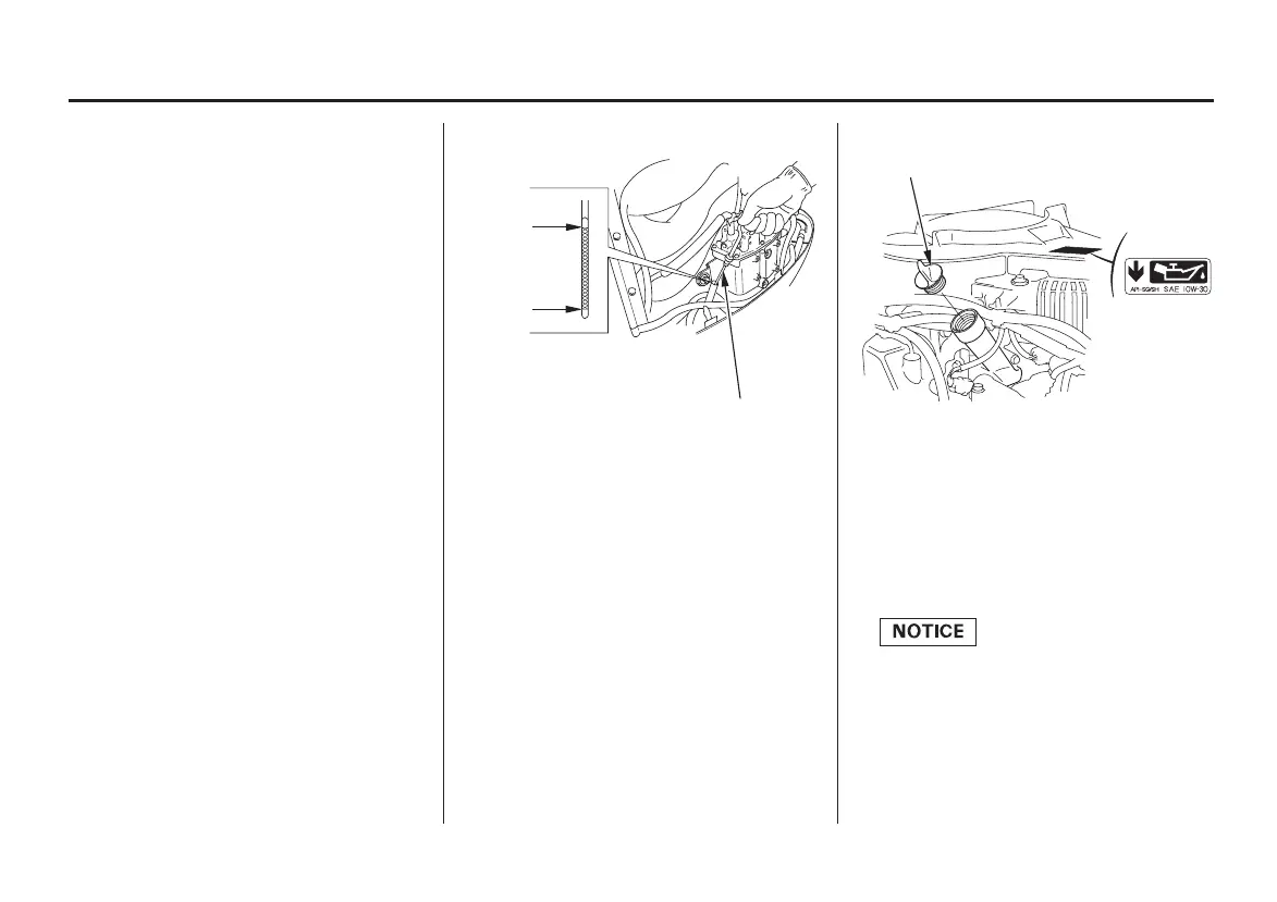 Page #65 background image