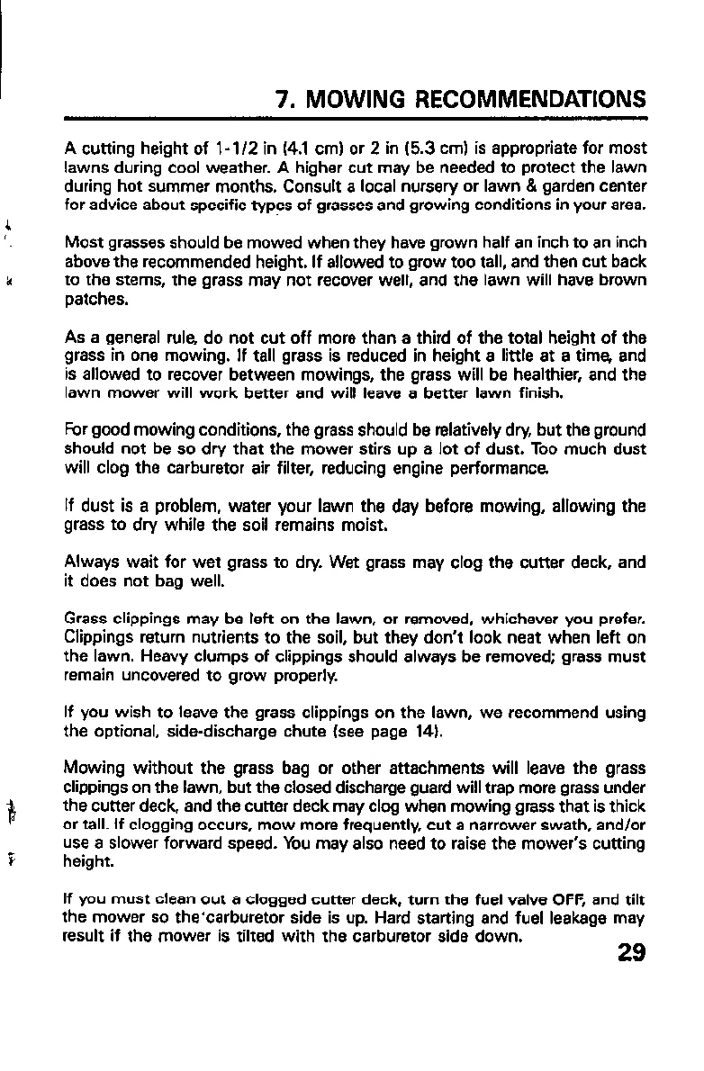 Page #31 background image