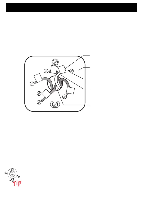 Page #10 background image
