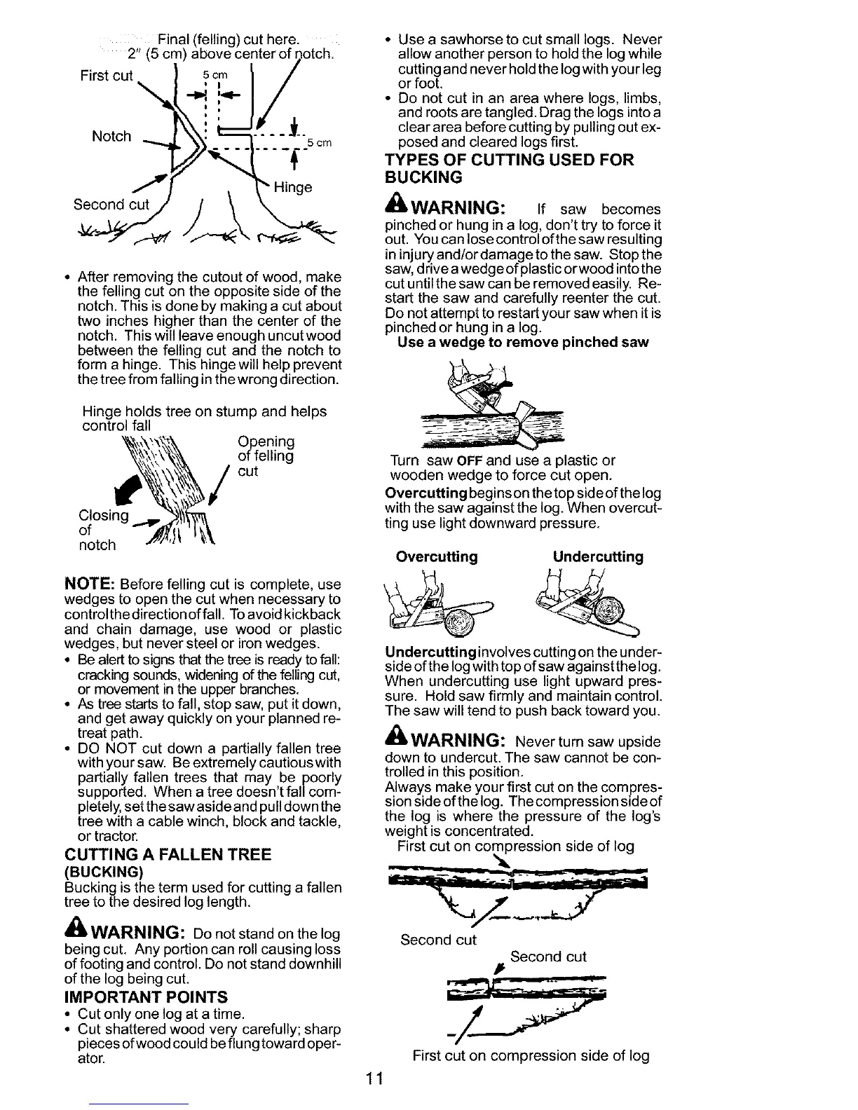 Page #11 background image