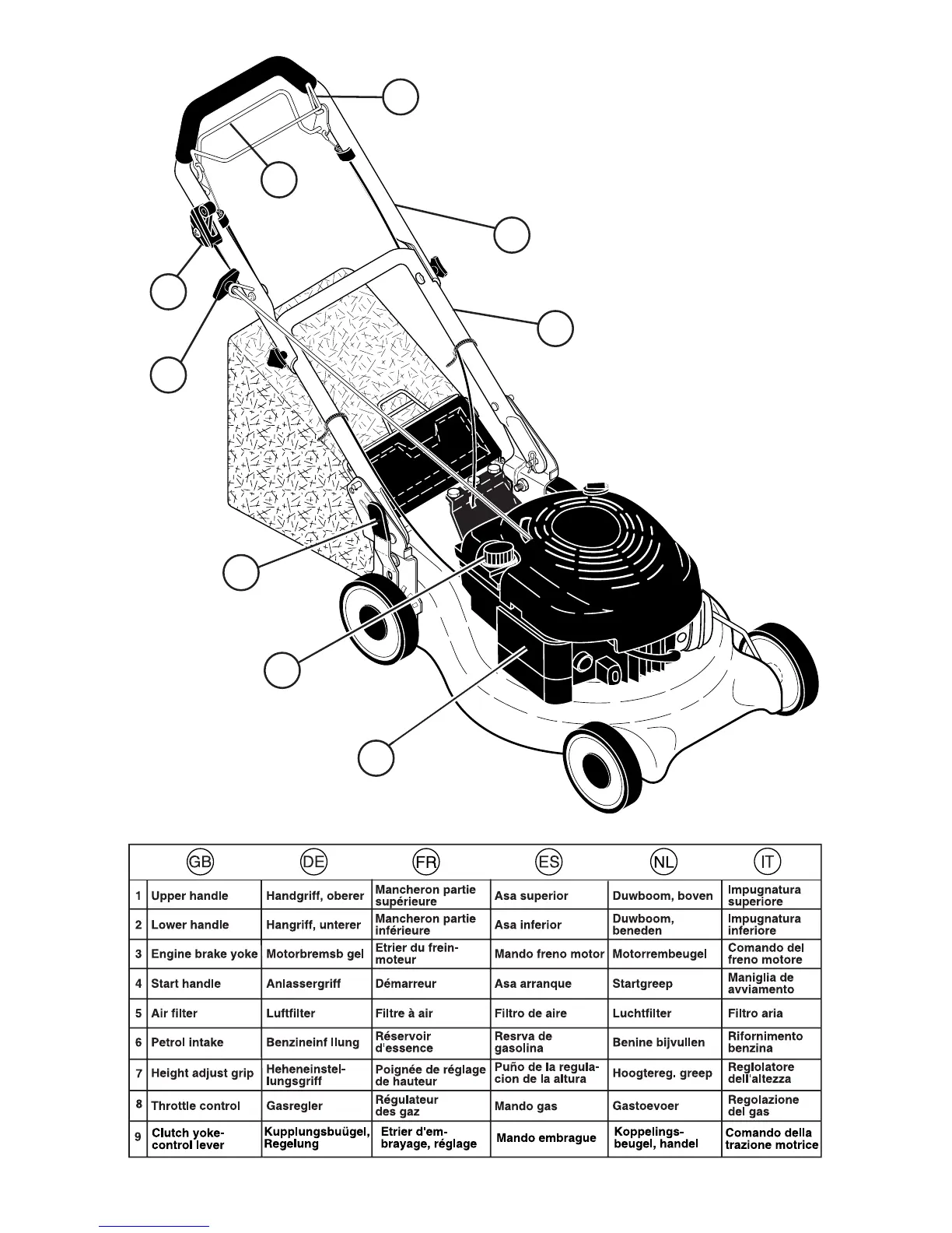 Page #10 background image
