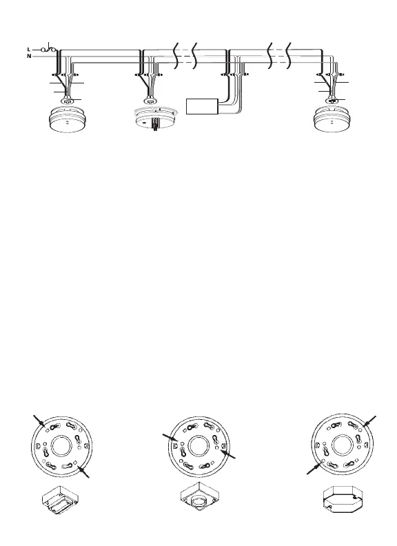 Page #22 background image