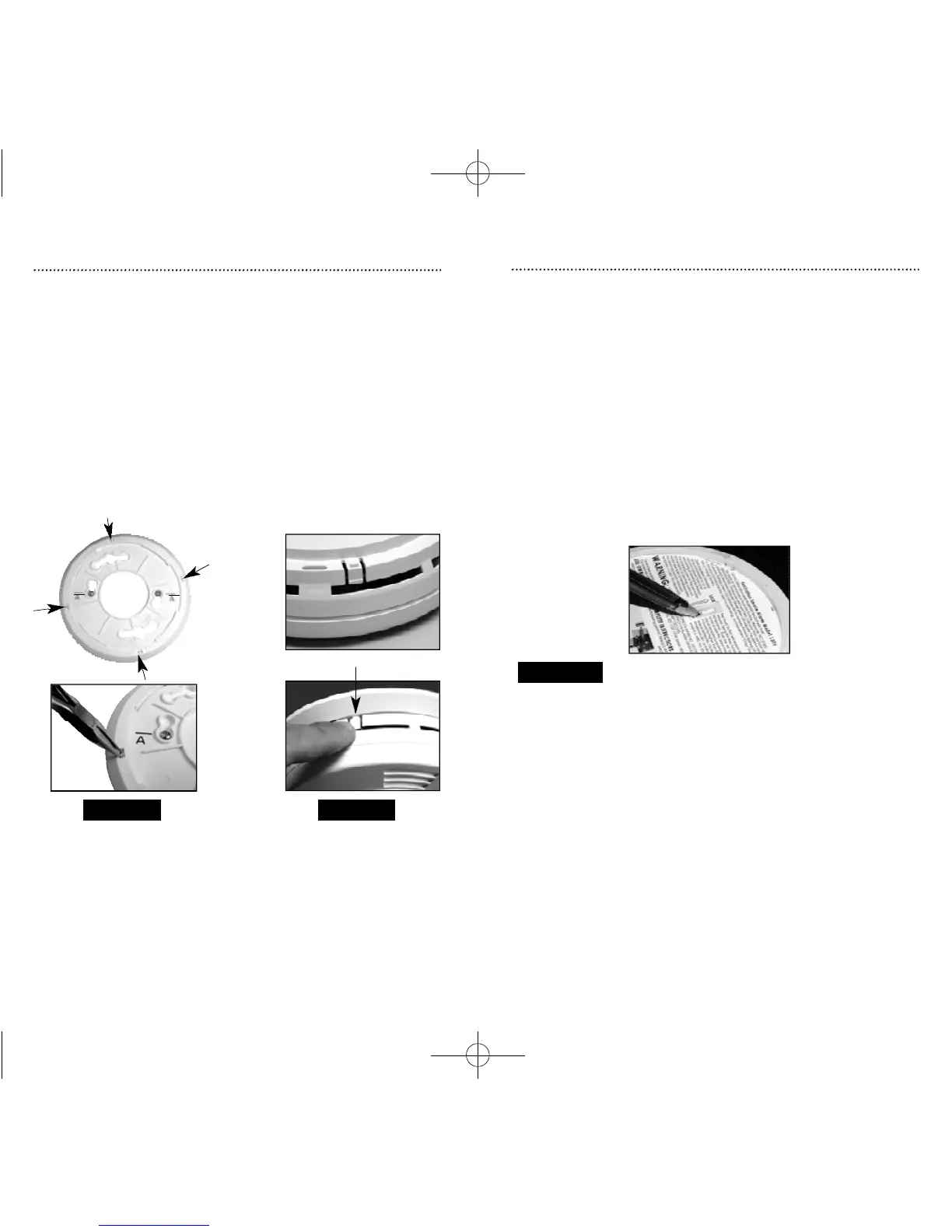 Page #8 background image