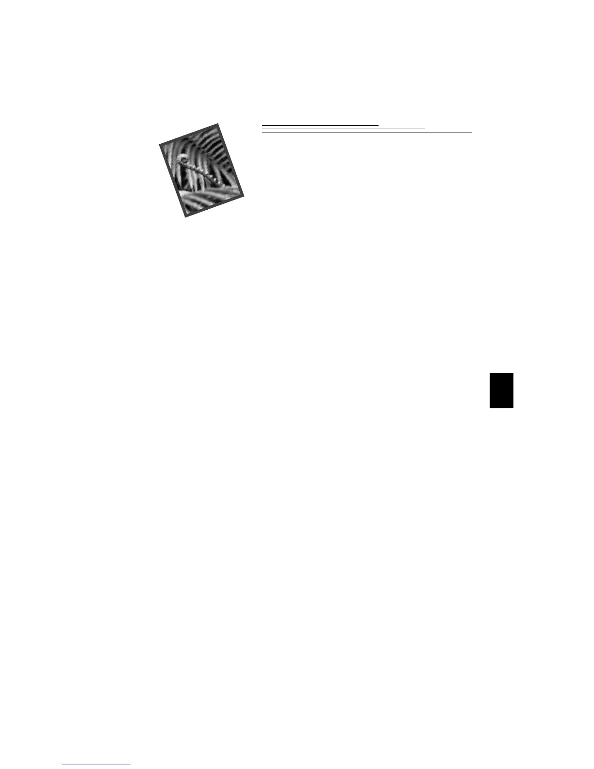 Page #65 background image