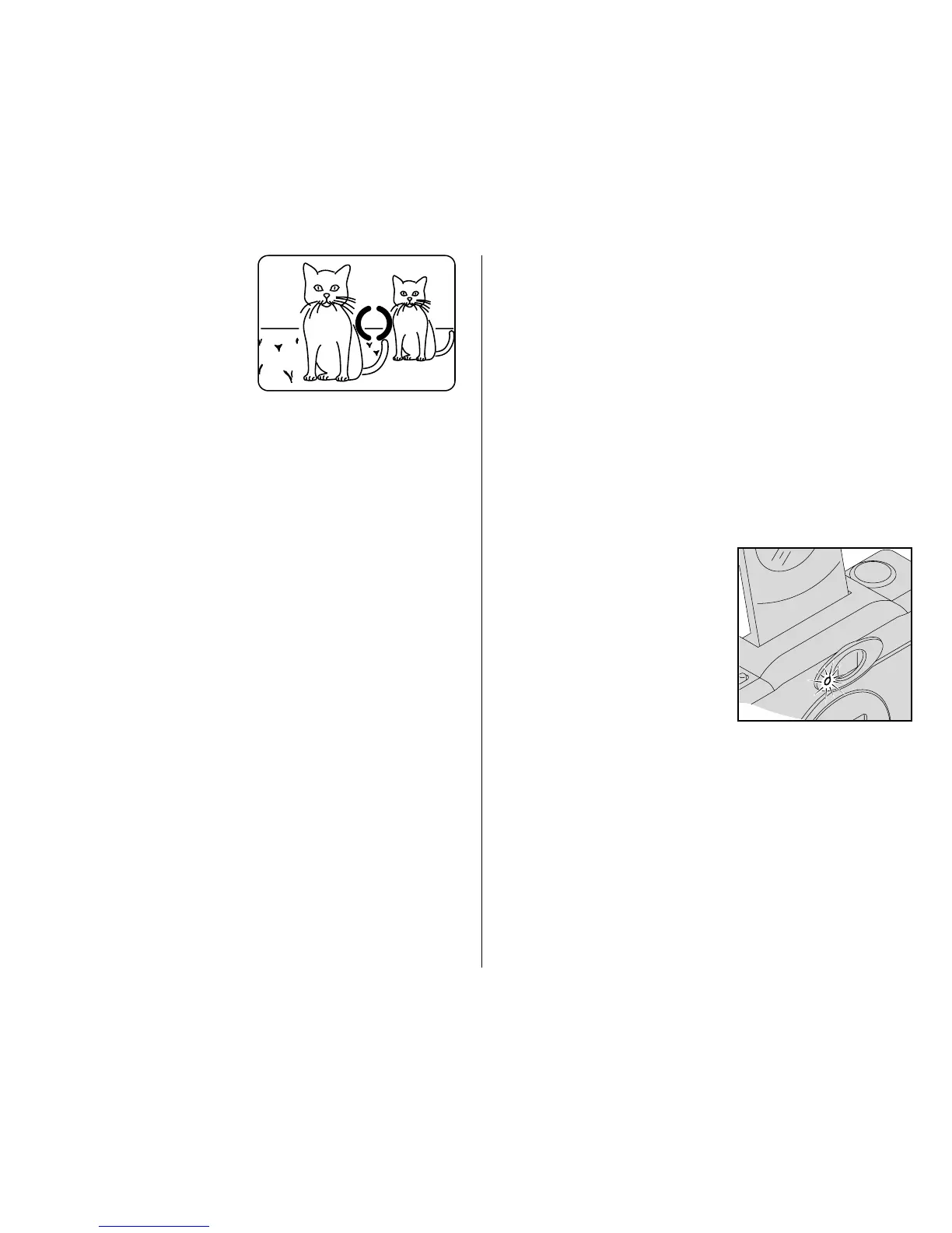 Page #55 background image