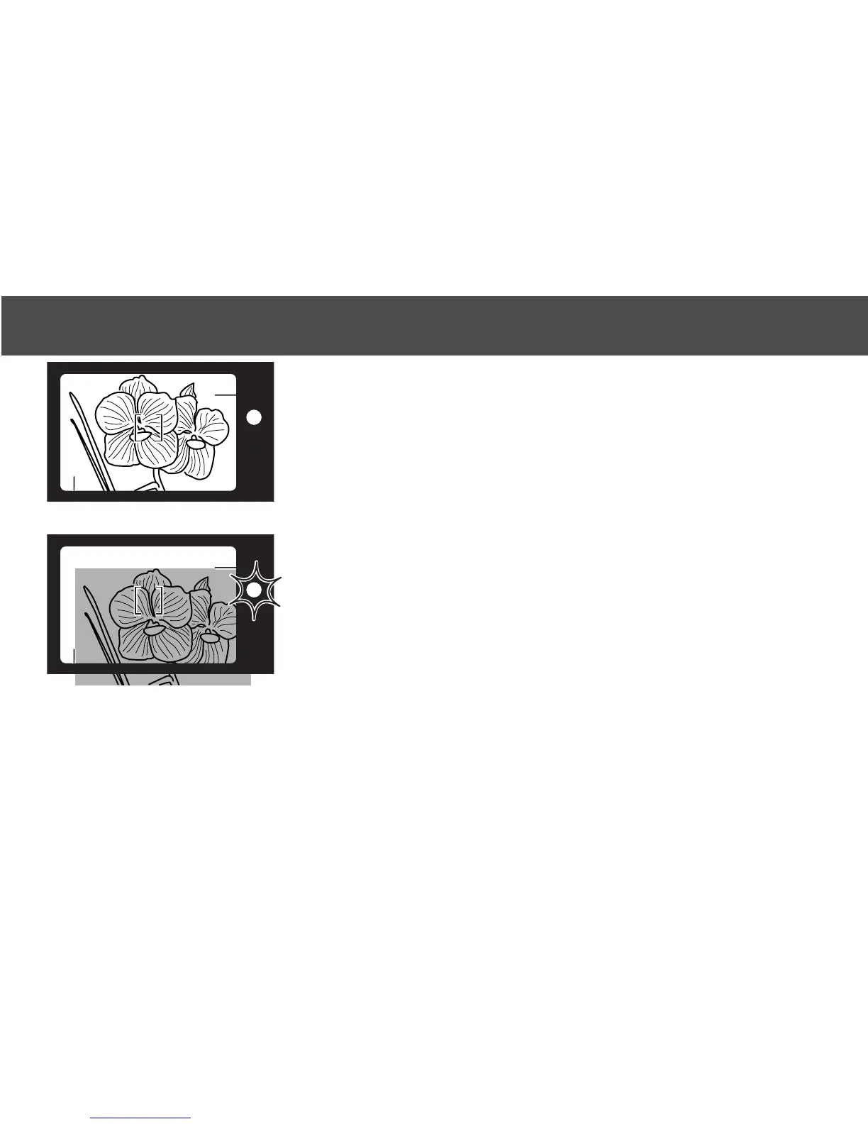 Page #25 background image