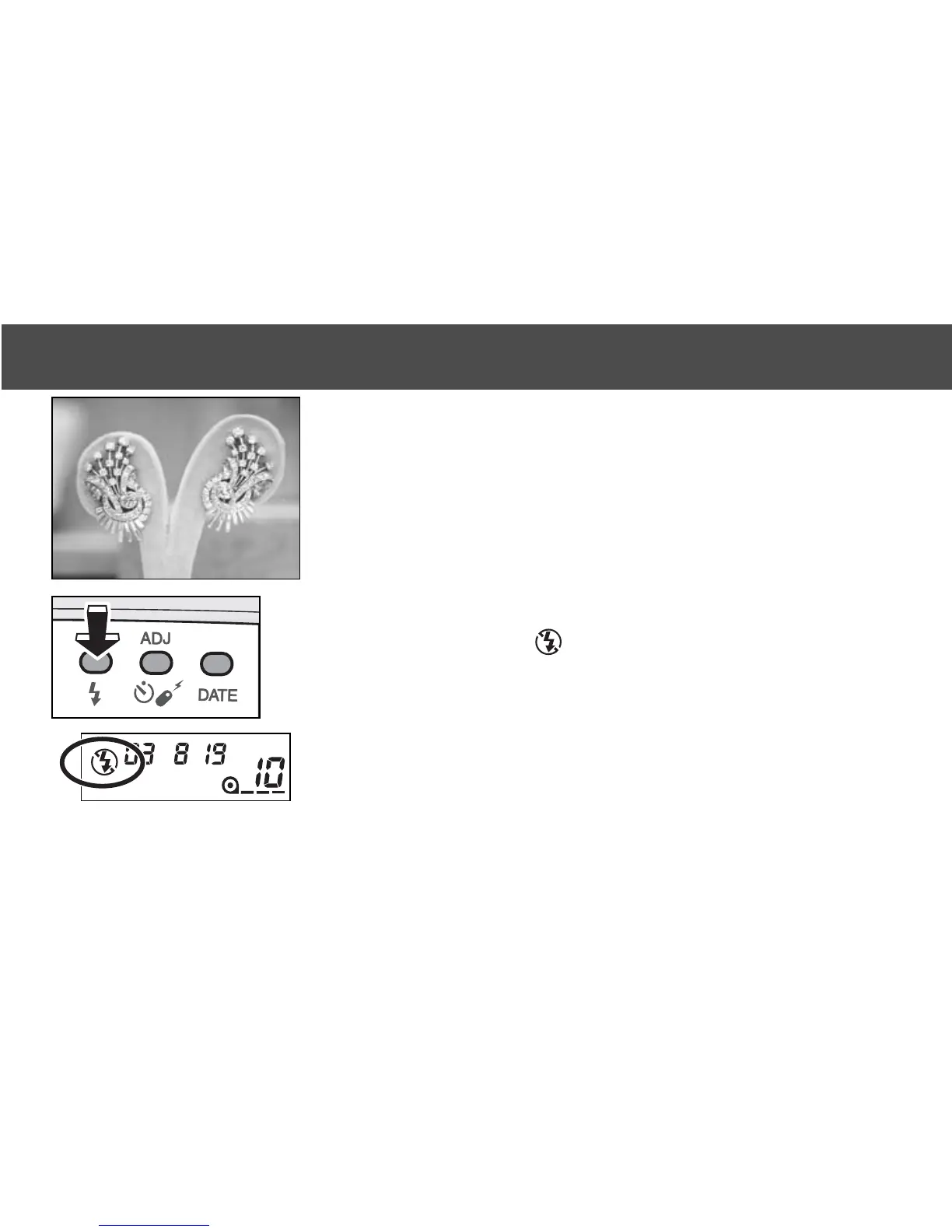 Page #33 background image