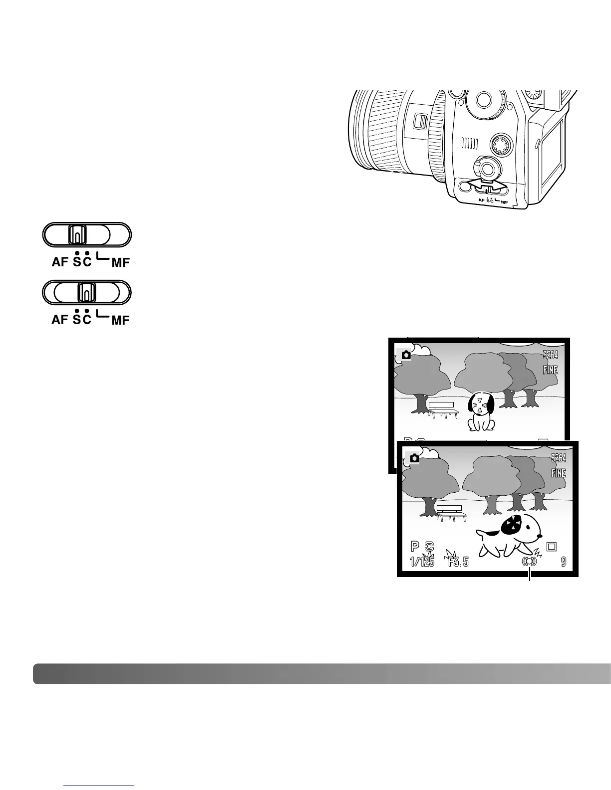 Page #46 background image