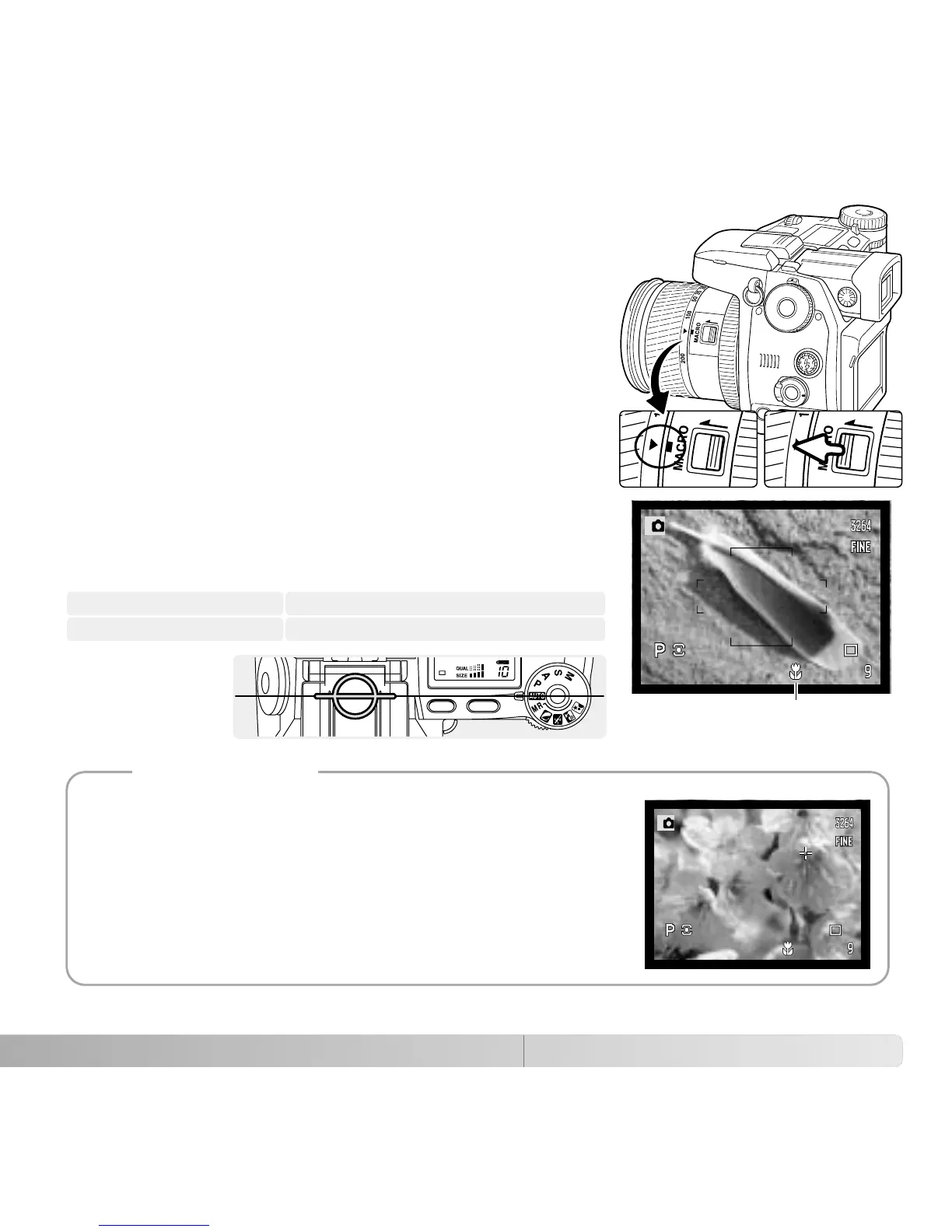 Page #49 background image