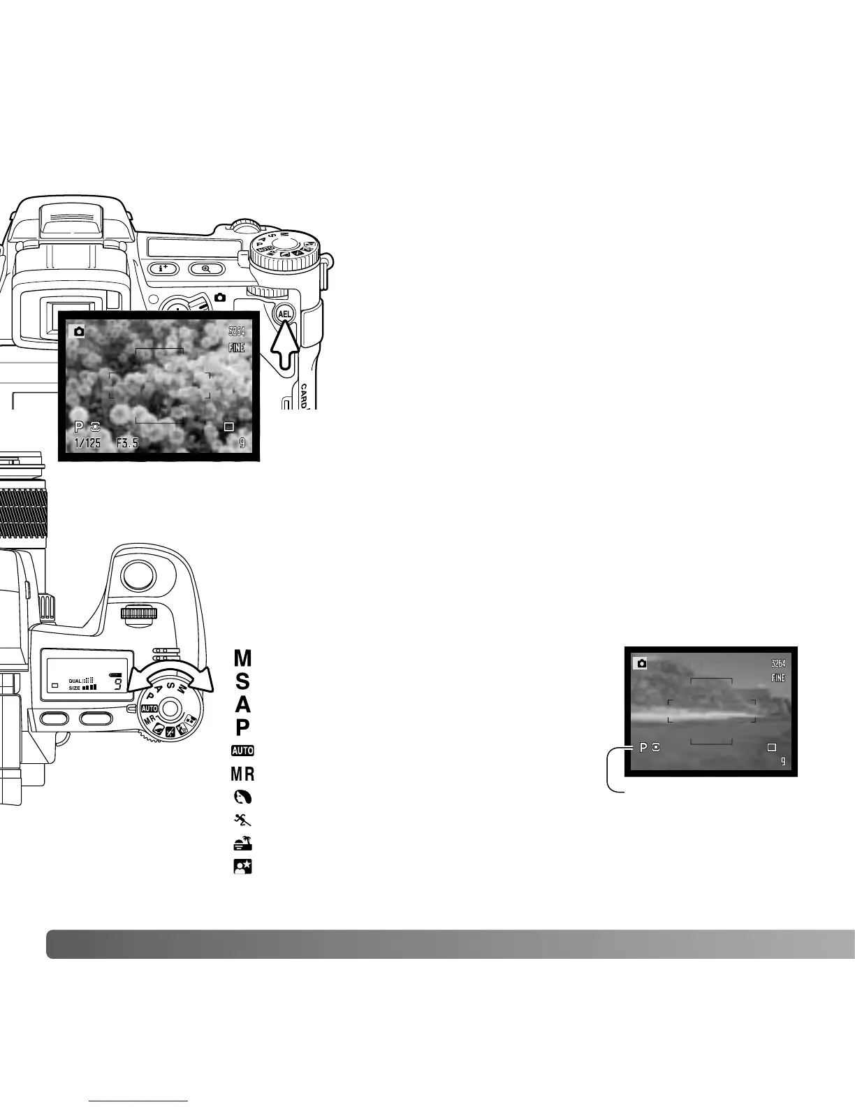 Page #50 background image