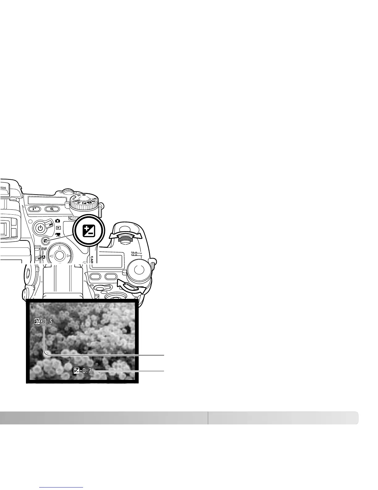 Page #59 background image