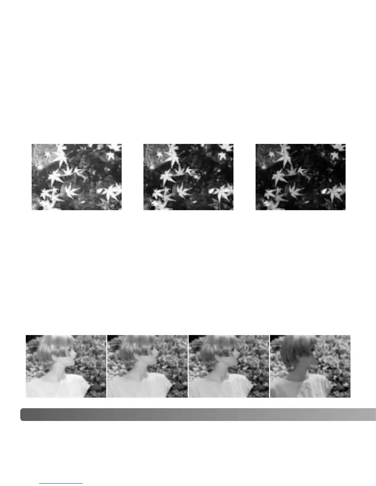 Page #110 background image