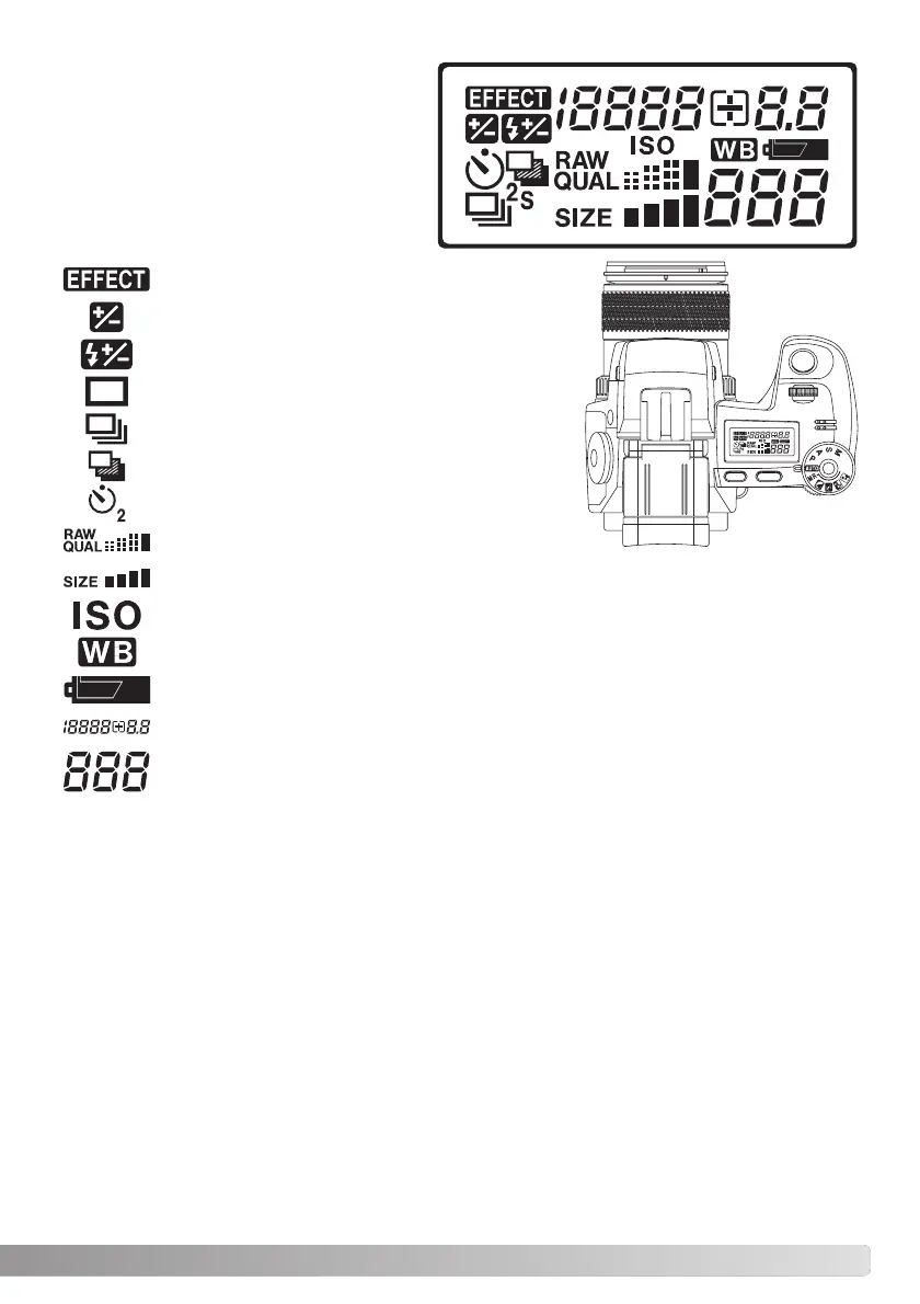 Page #17 background image
