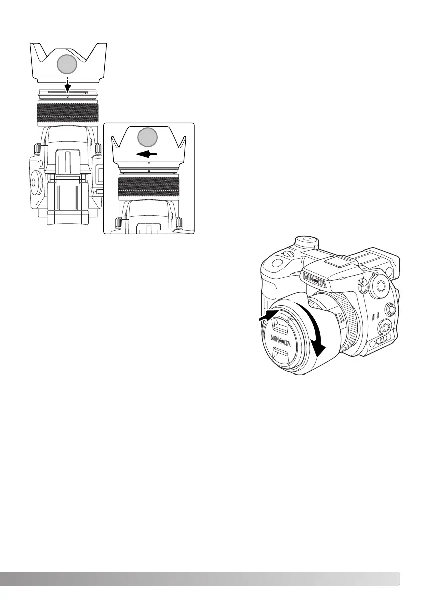 Page #21 background image