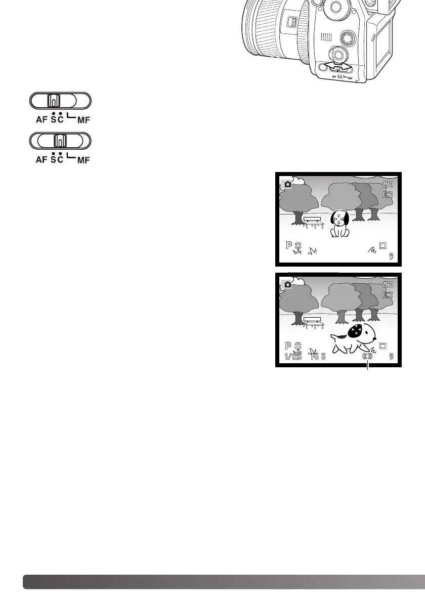 Page #46 background image