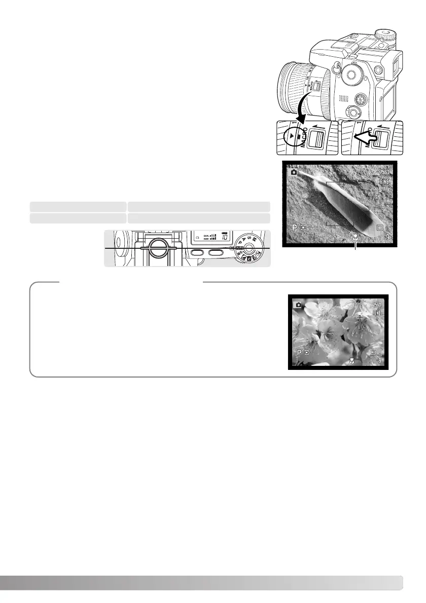 Page #49 background image
