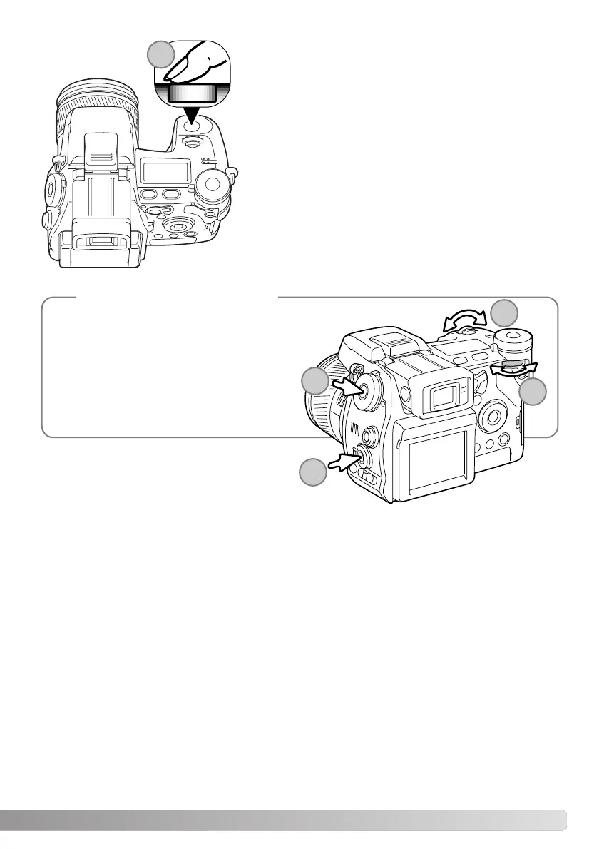 Page #65 background image
