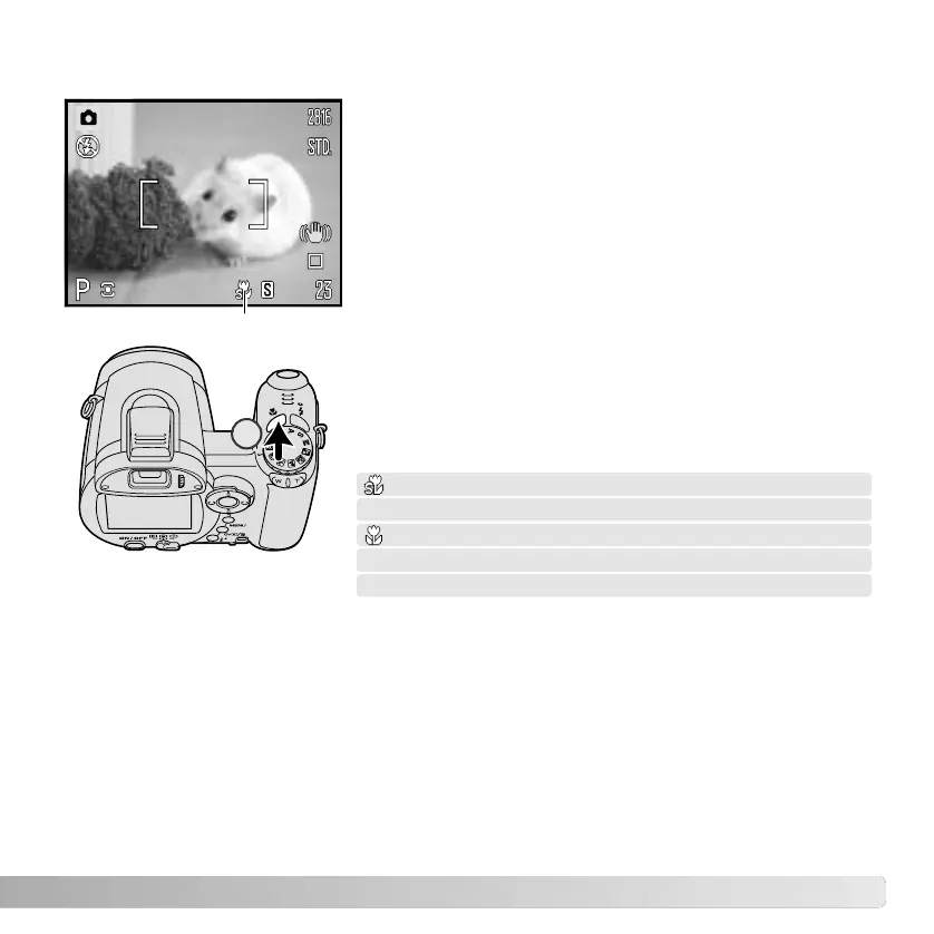 Page #35 background image