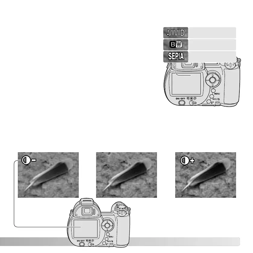 Page #65 background image