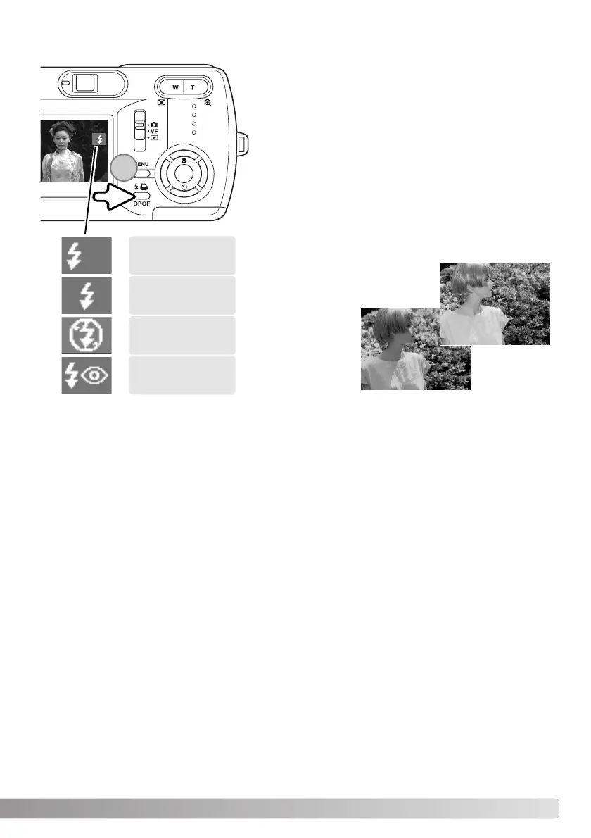 Page #31 background image