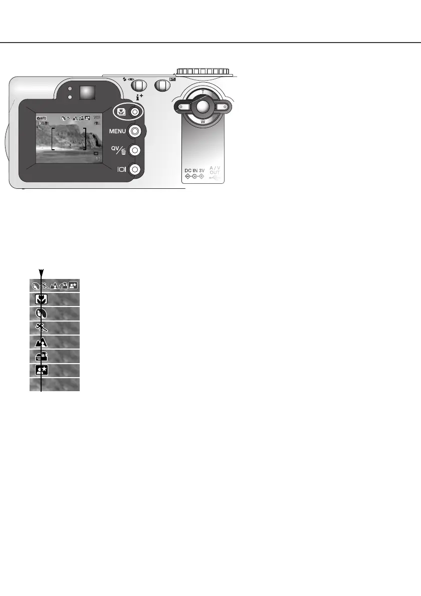 Page #29 background image