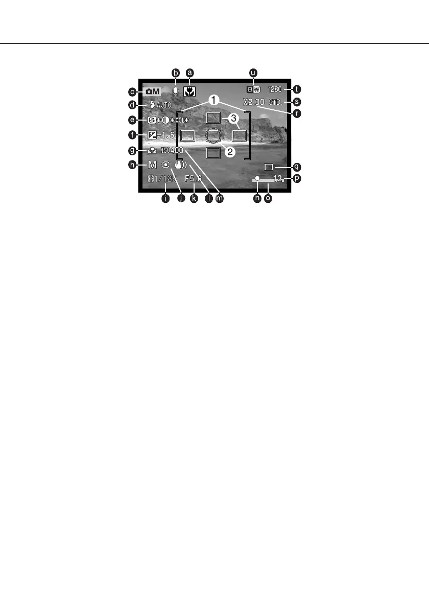Page #55 background image