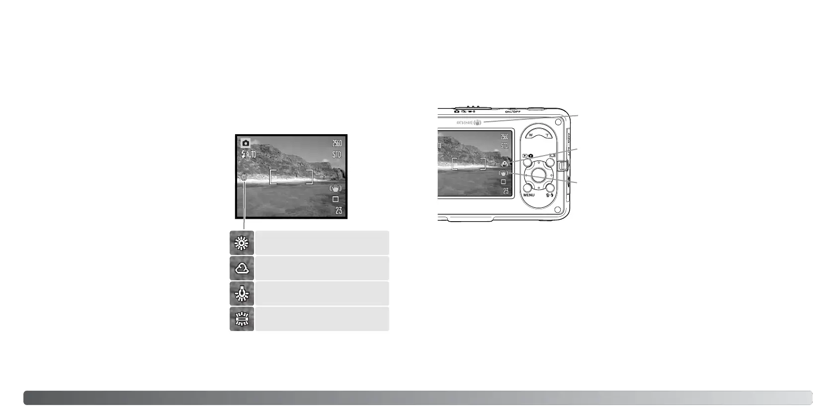 Page #25 background image
