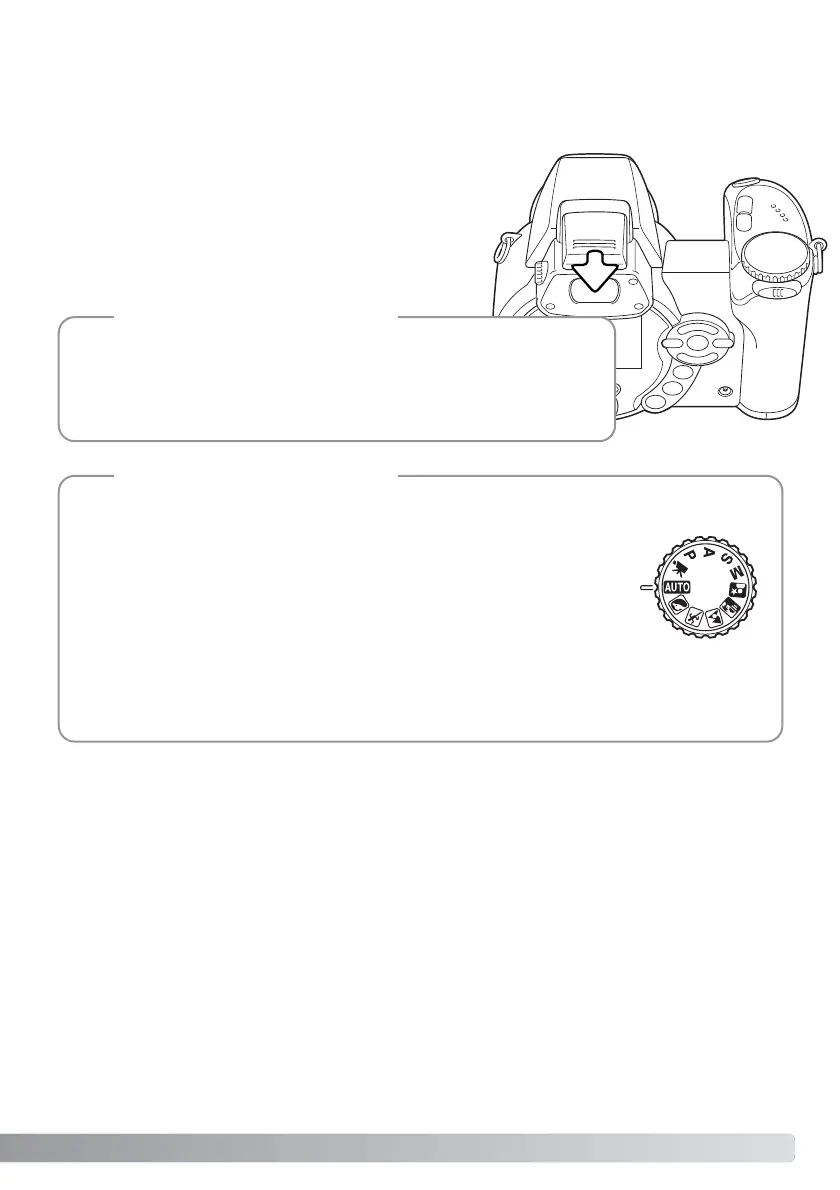 Page #43 background image