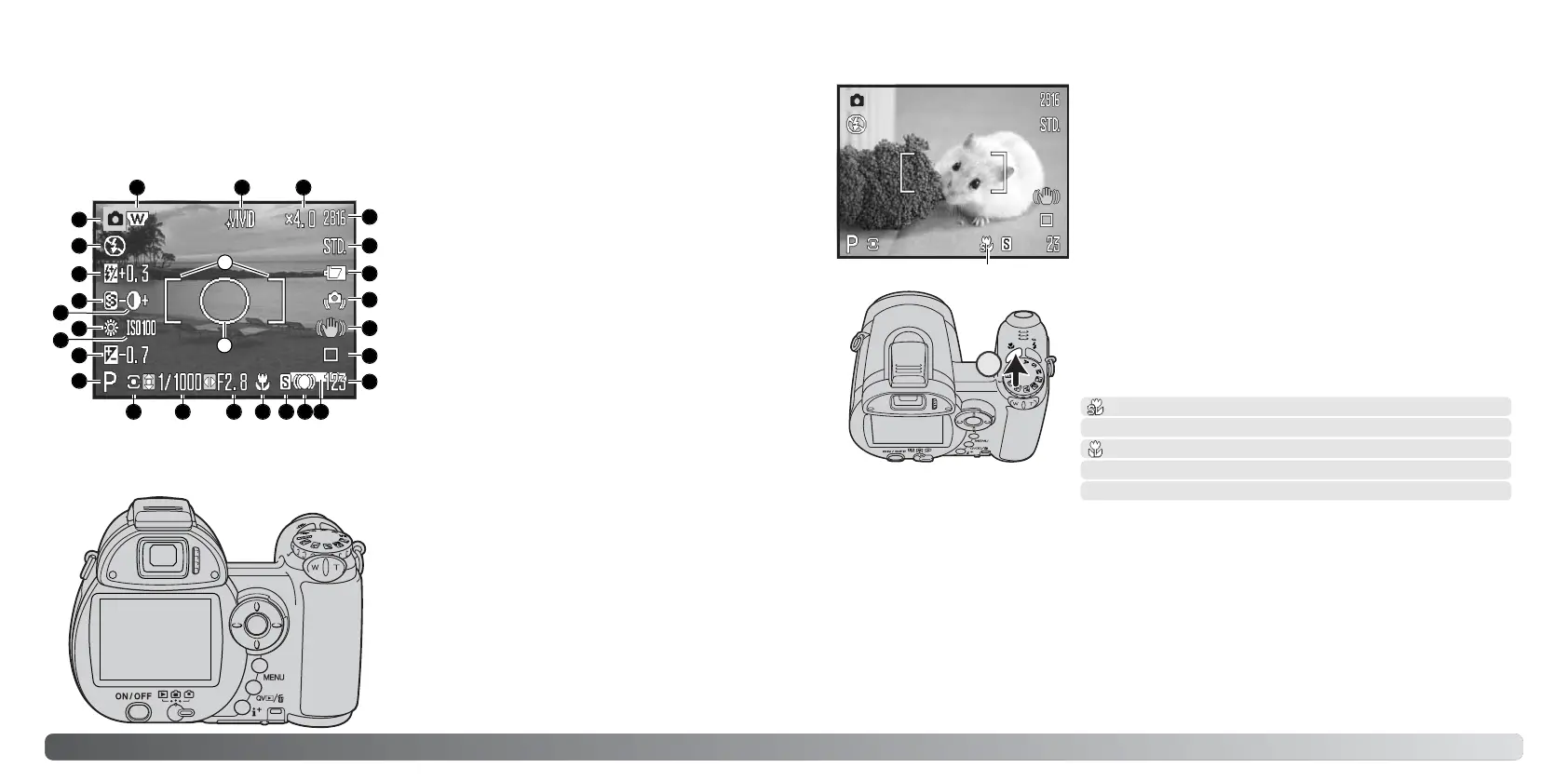 Page #18 background image