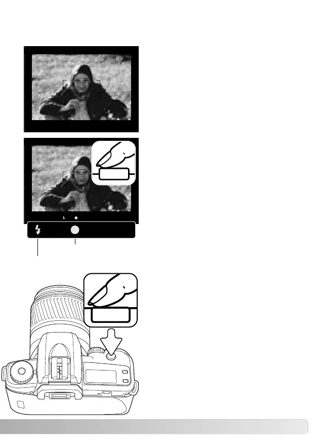 Page #21 background image