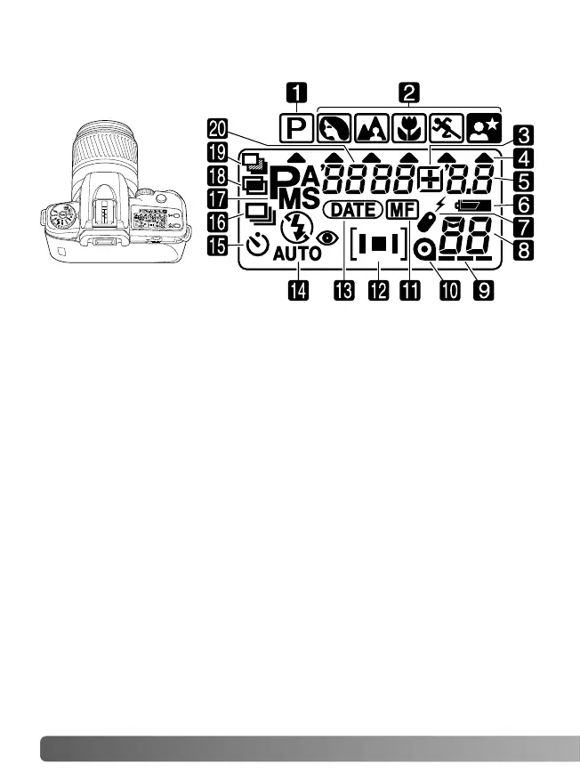 Page #10 background image
