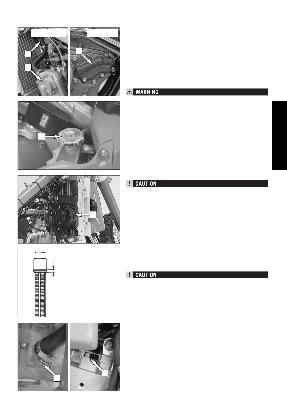 Page #44 background image