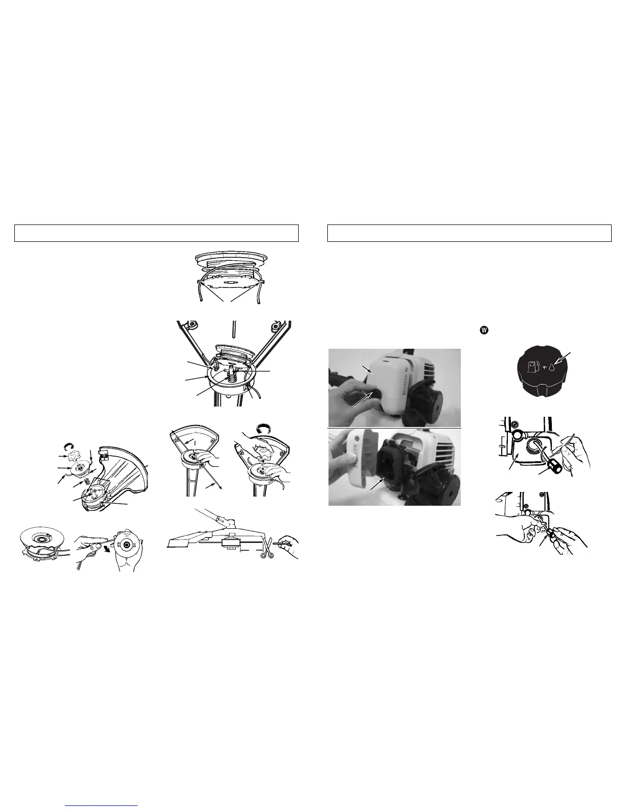 Page #8 background image