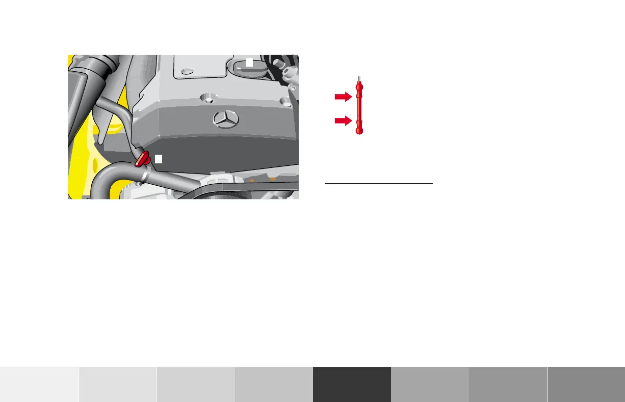 Page #196 background image