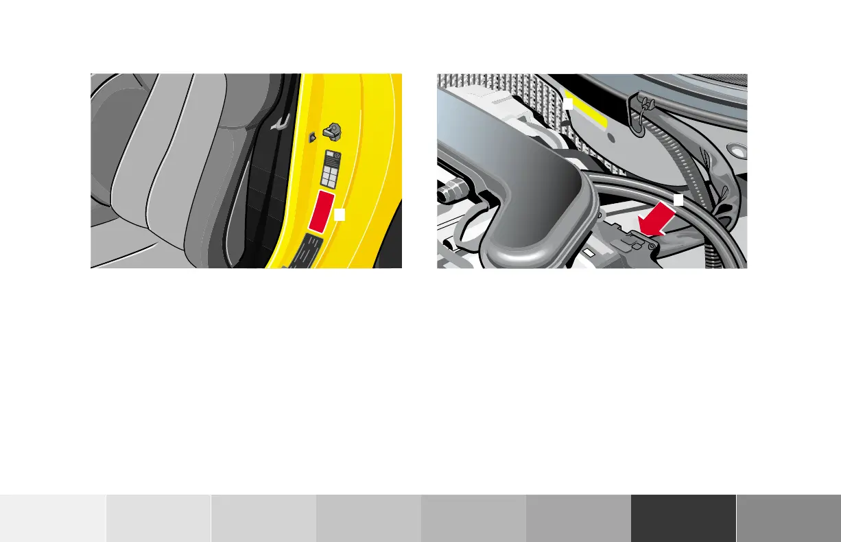 Page #246 background image