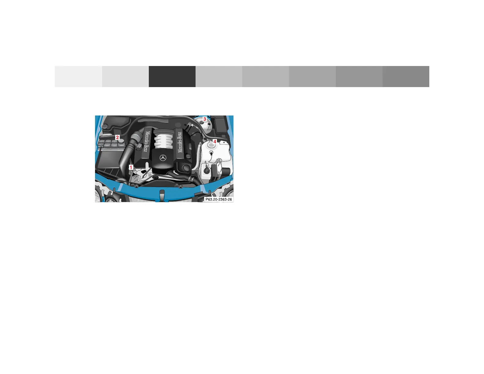 Page #225 background image