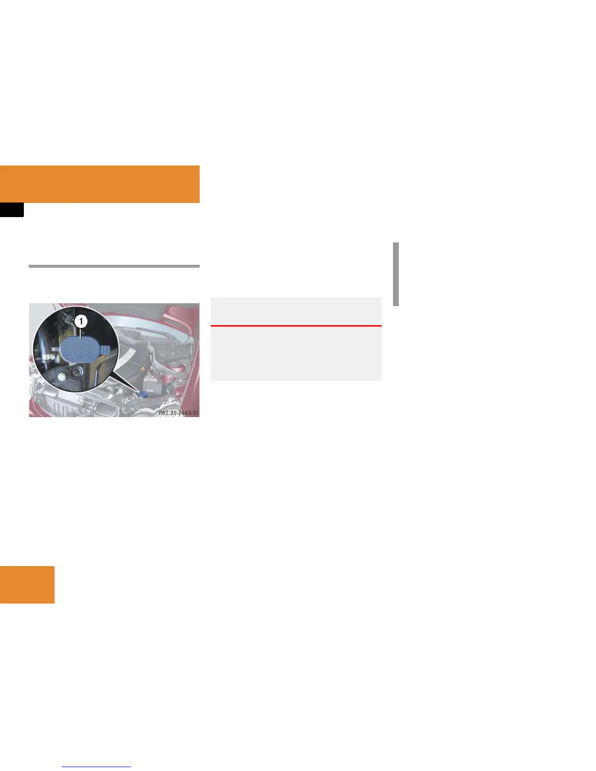 Page #305 background image