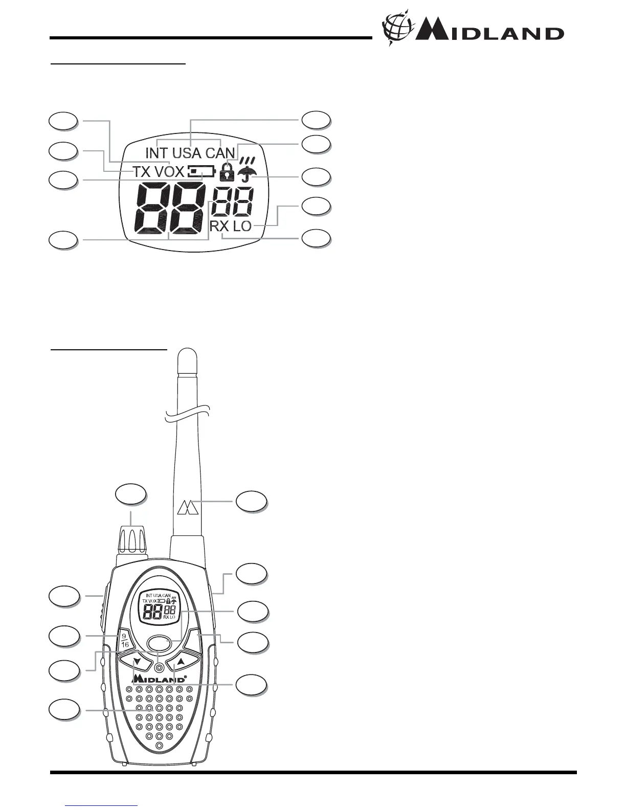 Page #5 background image
